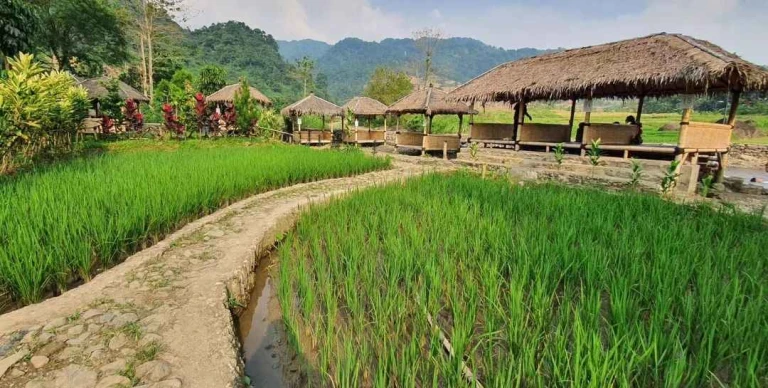 Jalur Trekking Sentul