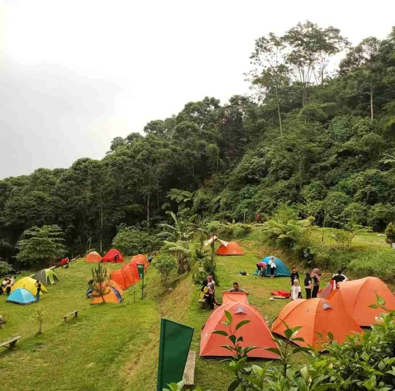 Outbound & Camping